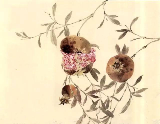 石榴怎么画简单又好看（工笔石榴《榴开多子》画法步骤）