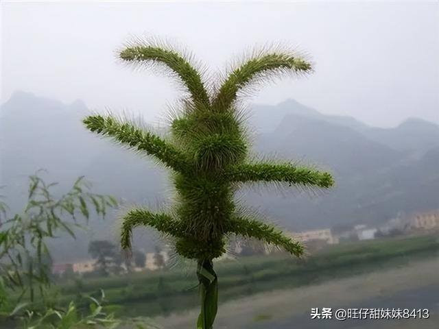8岁做手工（70、80后童年有哪些记忆？）