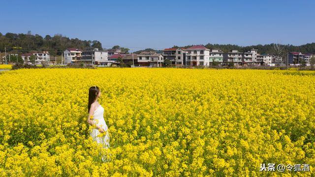 小镇上适合做点什么小生意（农村小镇上的母婴店一年收益47万，是怎么做到的？）