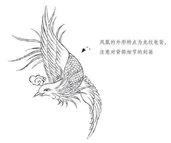 凤凰怎么画简单又漂亮（凤凰诗词10首）