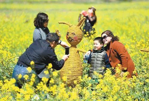 未来五年农村最赚钱的行业（未来农村最赚钱的行业大分享）