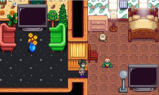 星露谷物语生孩子（星露谷物语stardewvalley生孩子攻略）