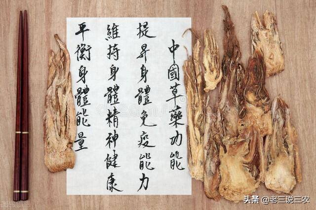 药材种植什么最赚钱找制药厂合作（25年间，他带领村民种柴胡，当归中药材，使村民亩增收8500元）