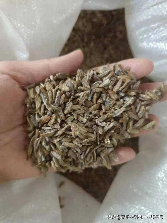 药材种植前景（2019年中药材行情分析）