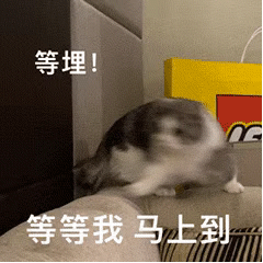 今天不去上班（想念和纪念，不会比我的生命更长久）