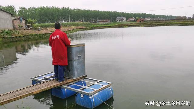 黄骨鱼的养殖（养殖黄骨鱼，一年赚了好几万）