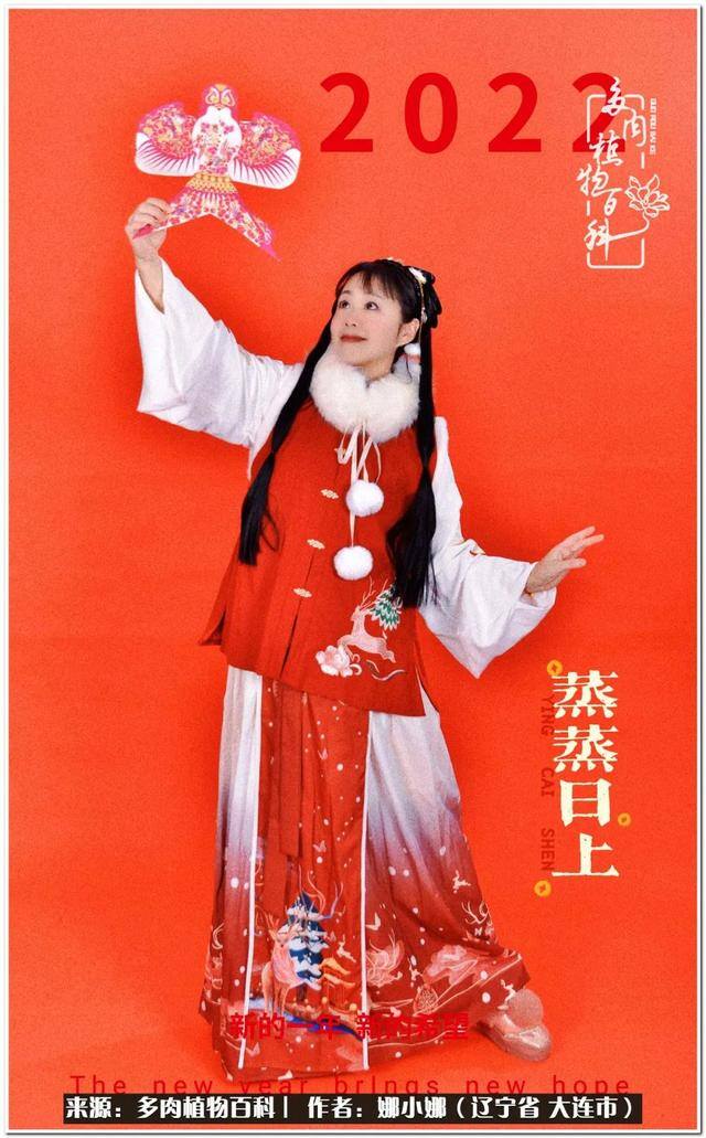 七彩糯糯摆摊挣钱吗（【娜小娜的生活日记】）