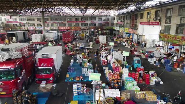 种葡萄一亩地能挣多少钱（农村小伙种葡萄，一年能赚100多万元，他是如何做到的？）