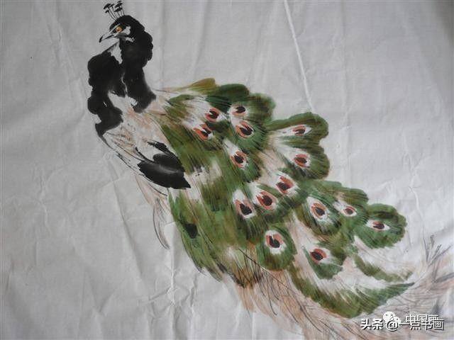 漂亮的孔雀怎么画（孔雀的基本技法）