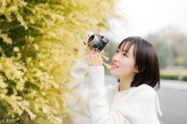 属猪人做什么生意最旺（属猪之人的致命弱点）