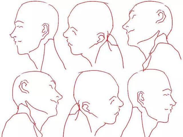 二次元绘画教学（全套二次元漫画人体绘制入门教程）