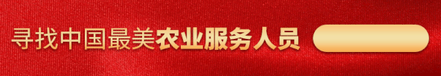 浙江女孩养殖蟾蜍致富（青蛙市场价格暴跌）
