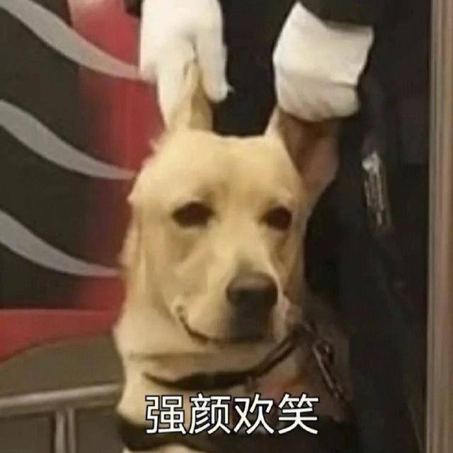 一对一视频聊天软件有哪些最赚钱（好利来的兄弟之争）