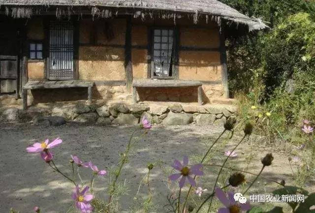 种植什么药材最赚钱（农民种植什么中药材比较好）
