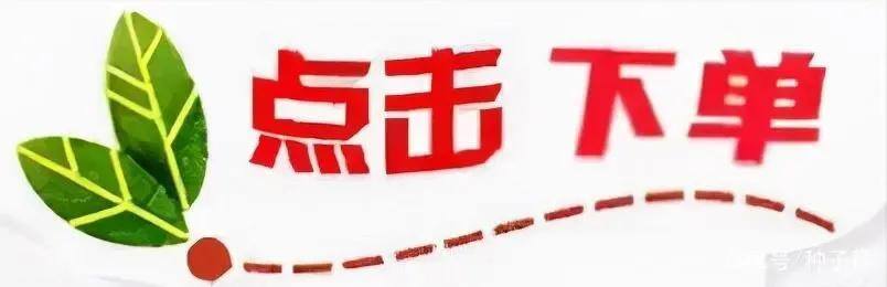 农村发展致富项目大全（农村创业有哪些好项目？）