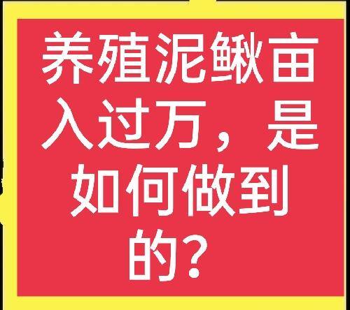 养泥鳅要具备什么条件怎么养（泥鳅养殖利润有多少？）