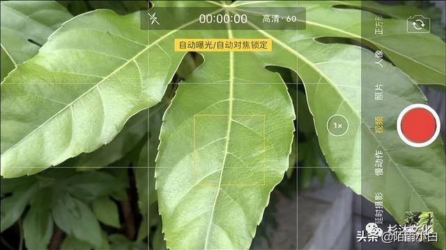 如何拍视频（手机拍摄视频的基础操作）