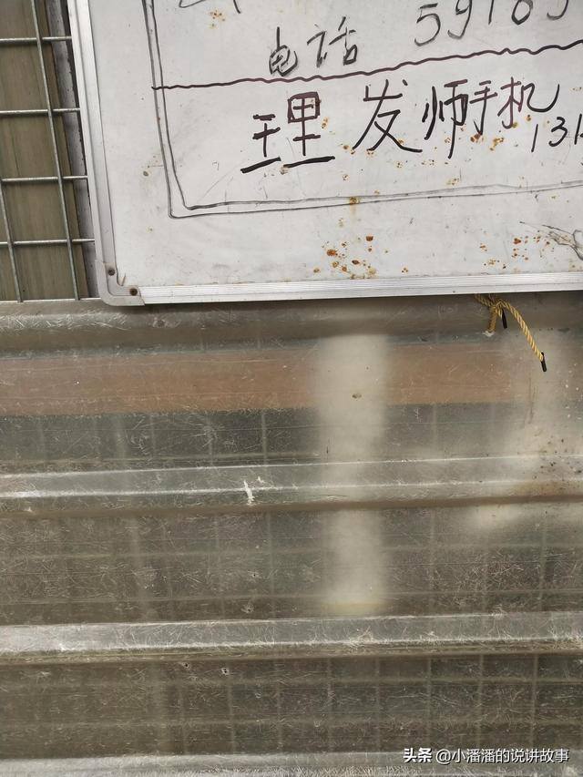 小区开个什么店生意比较好做（疫情期小区的真实记录）