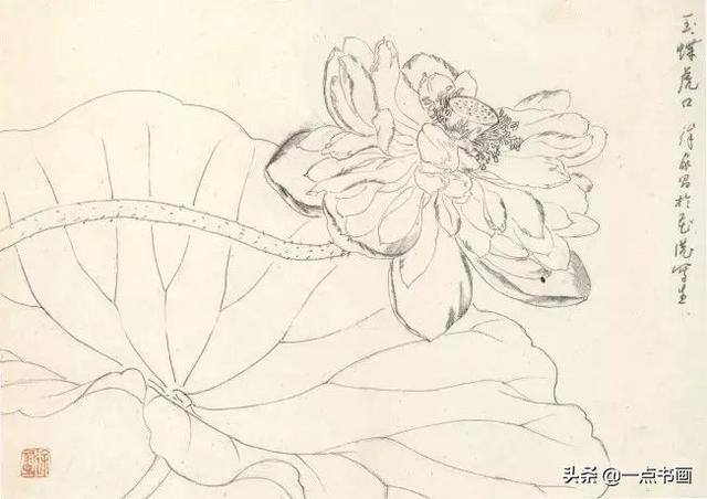 荷花怎么画漂亮又复杂（写意荷花的画法）