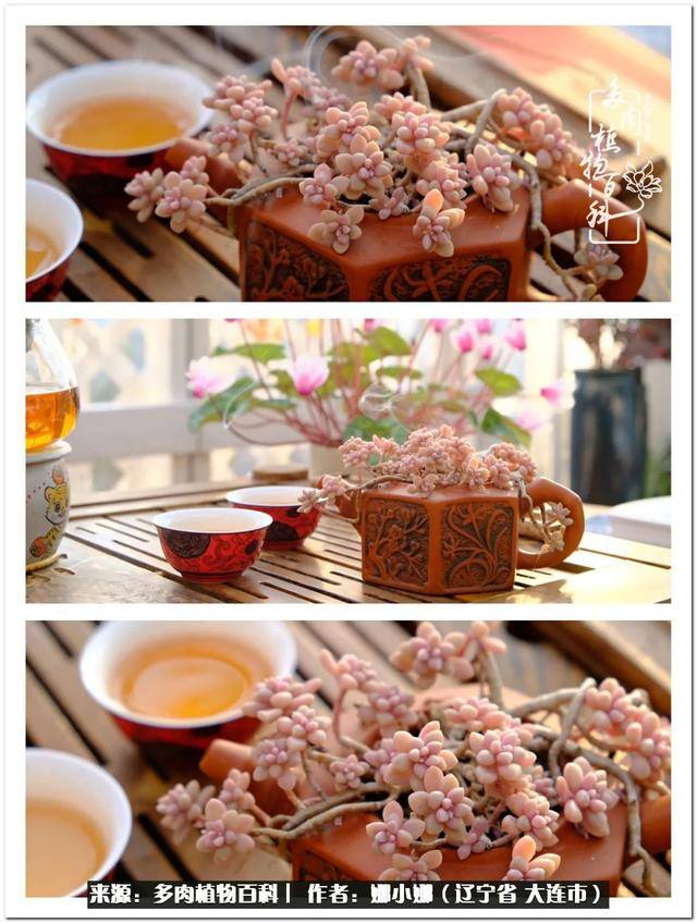 七彩糯糯摆摊挣钱吗（【娜小娜的生活日记】）