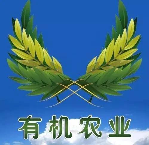 未来五年农村最赚钱的行业（未来农村最赚钱的行业大分享）