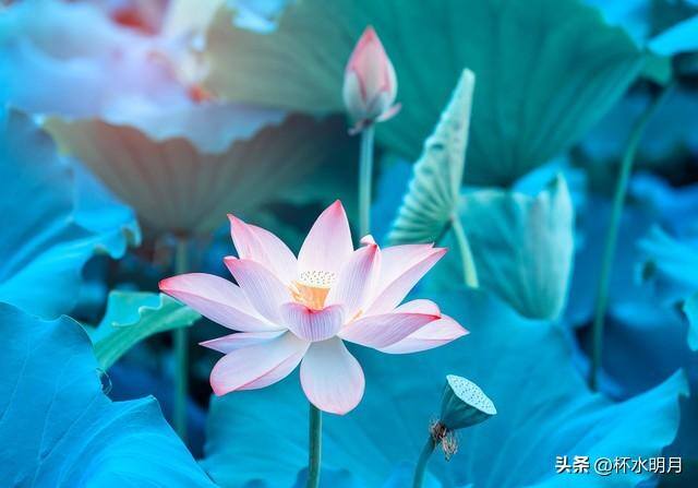 心遇一天可以挣多少钱（作为一个文学创作者是怎样的体验？）