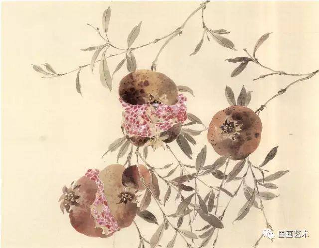 石榴怎么画简单又好看（工笔石榴《榴开多子》画法步骤）