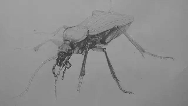 零基础画画（水彩教程｜水彩教程（一））