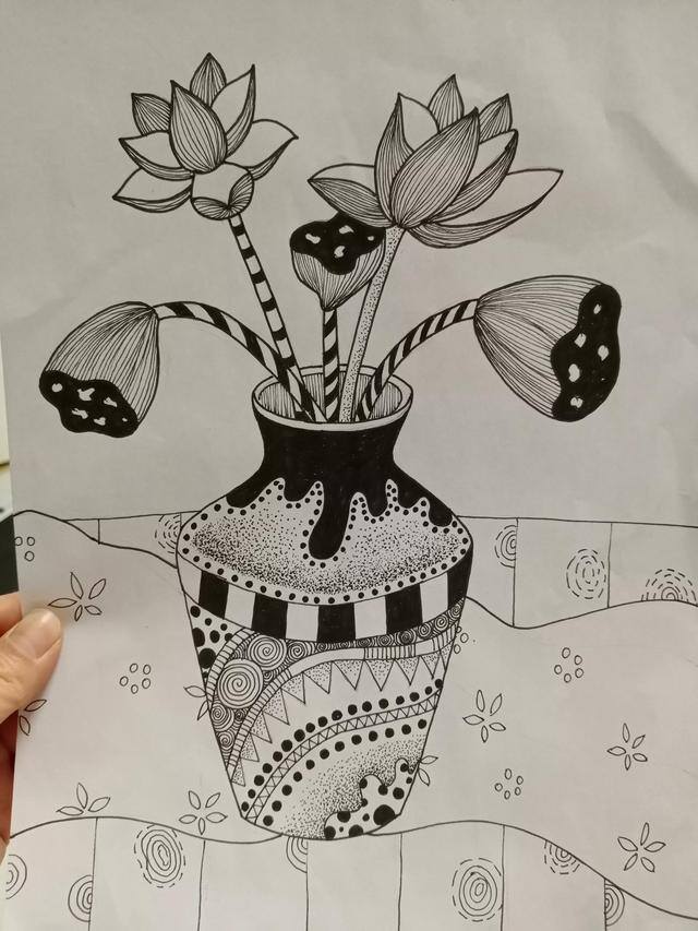 莲花怎么画简单又好看（黑白线描画《花瓶和花》）