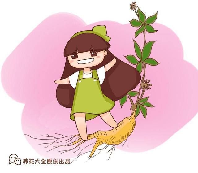 灵芝的栽培养殖方法（这5种花，又好看又能当药材，养一盆身体倍棒！）