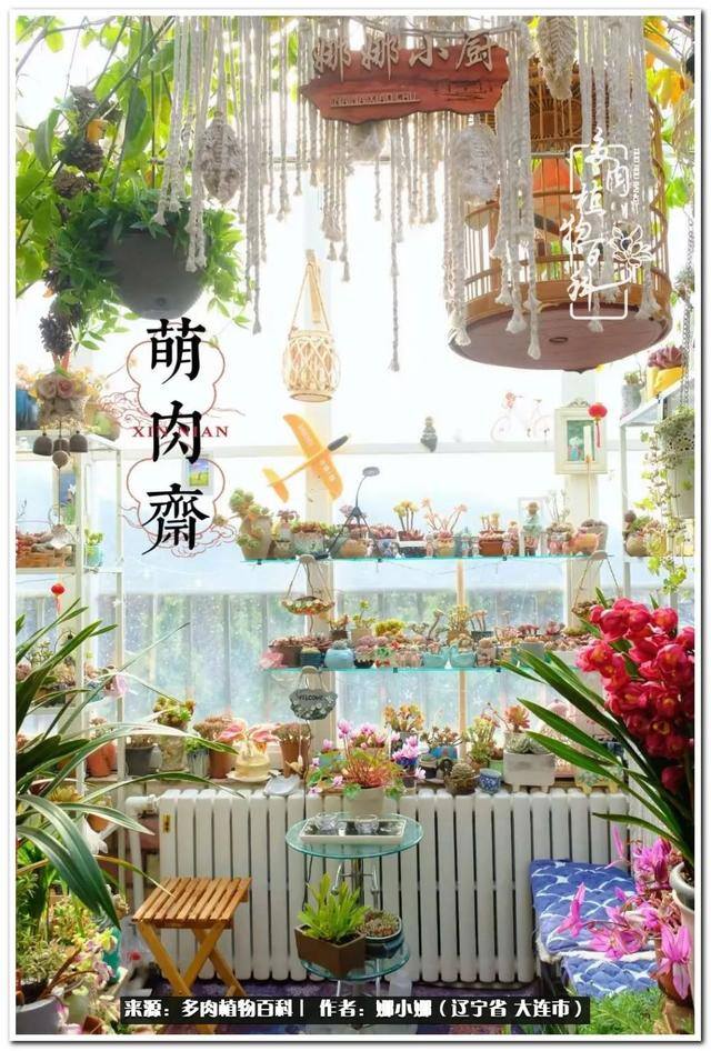七彩糯糯摆摊挣钱吗（【娜小娜的生活日记】）