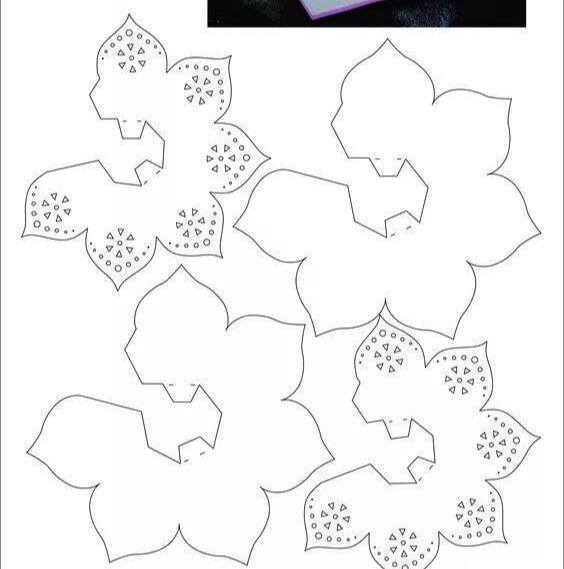 手工贺卡怎么做（diy了一朵花束藏在了贺卡里，打开一看）