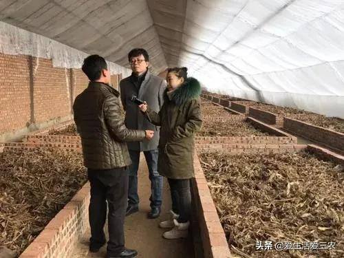 养蚯蚓真的可以赚钱吗（蚯蚓的养殖成本需要多少？）