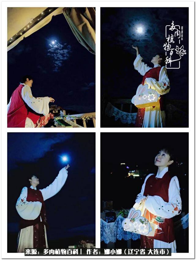 七彩糯糯摆摊挣钱吗（【娜小娜的生活日记】）