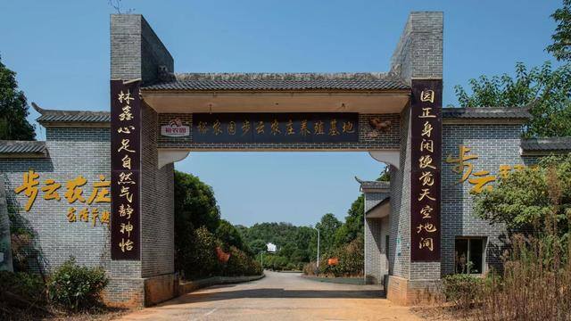 裕农园养鸡158天怎么利润那么高（裕农园：生态养殖助力乡村振兴）