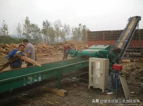 农村种什么最挣钱最快（投资不大，年入十万以上的农村项目）
