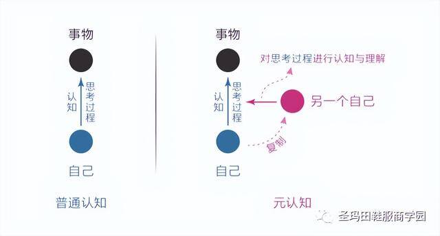 电脑怎么更新（人和计算机有什么区别？）