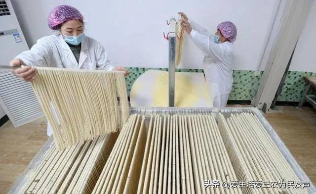 国家扶持农村办厂有哪些项目（农村做什么加工项目好？）
