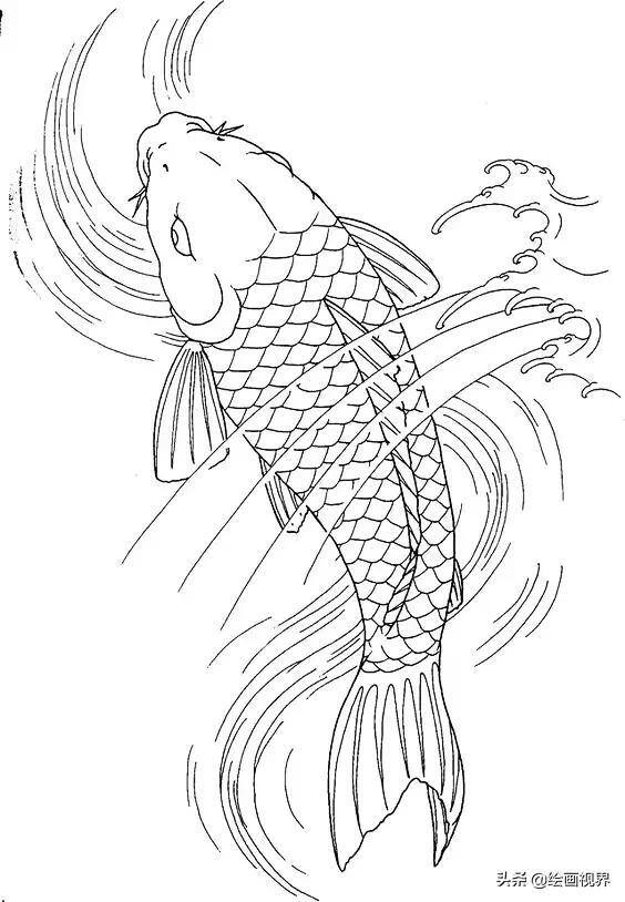 鲤鱼怎么画简单又漂亮（最简单的线条画最美的锦鲤）