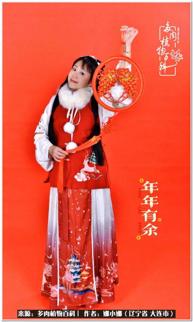 七彩糯糯摆摊挣钱吗（【娜小娜的生活日记】）