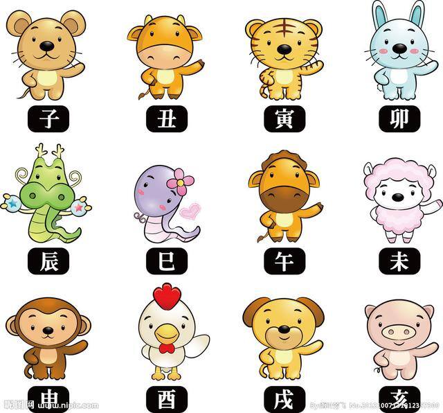 石榴木命人适合什么行业最旺财（十二生肖出生年份看命运）