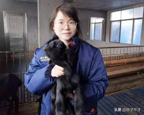 养山羊100只一年赚多少钱（养殖20只黑山羊母羊，一年的纯利润接近7万元）