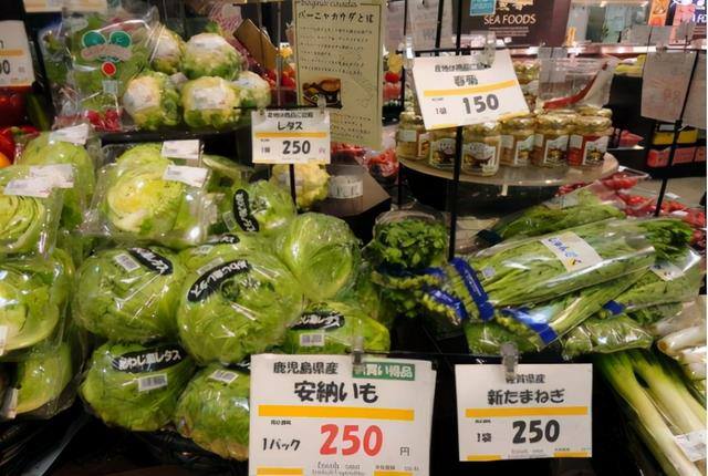 日本月薪一般多少钱（为什么日本的工资这么高？）