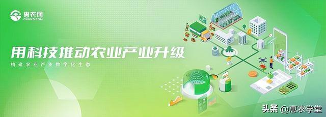 新项目加盟代理（惠农商机网——惠农商机网）