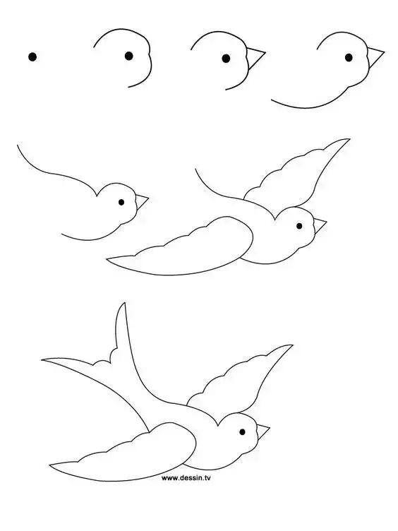 零基础画画（水彩教程｜水彩教程（一））