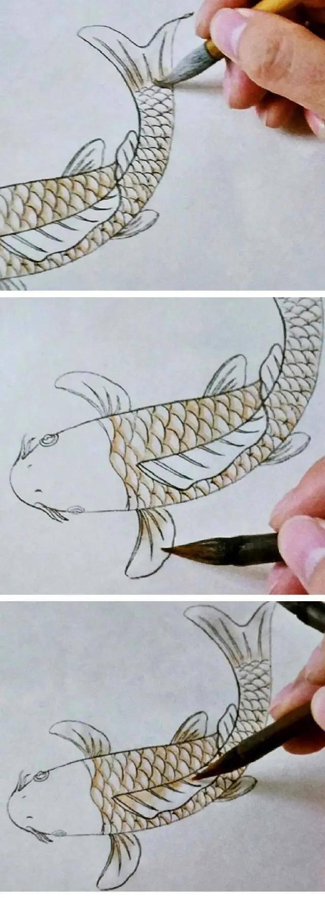 水墨画怎么画简单又漂亮（锦鲤鱼的画法）