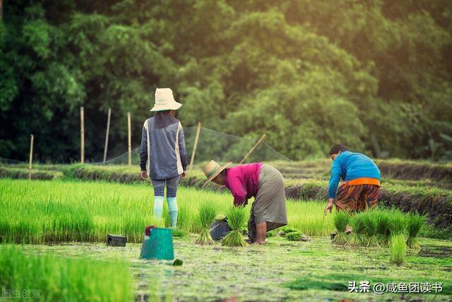 带娃致富:穿到古代做婆婆（5本种田文推荐，女主穿越到古代，男主和他爹还是拎得清）