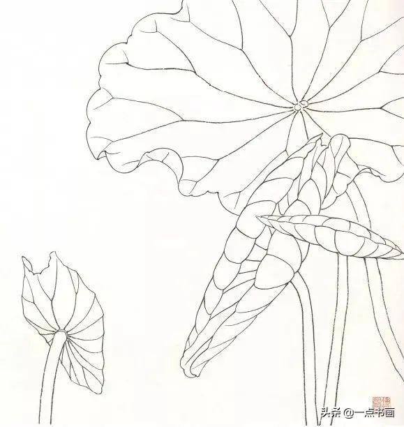 荷花怎么画漂亮又复杂（写意荷花的画法）