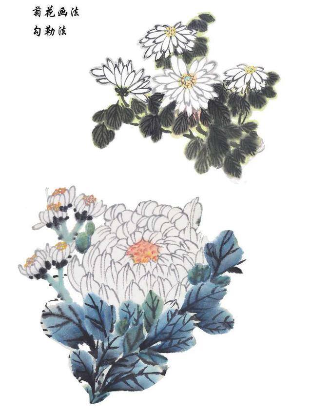 绘画技法教程（菊花的绘画技法）