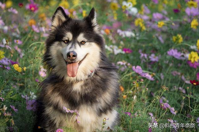 女生开店开什么店比较好（未来5年，这几个行业会越来越火）
